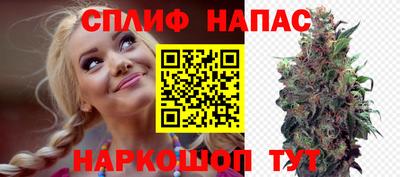 крисы Ипатово