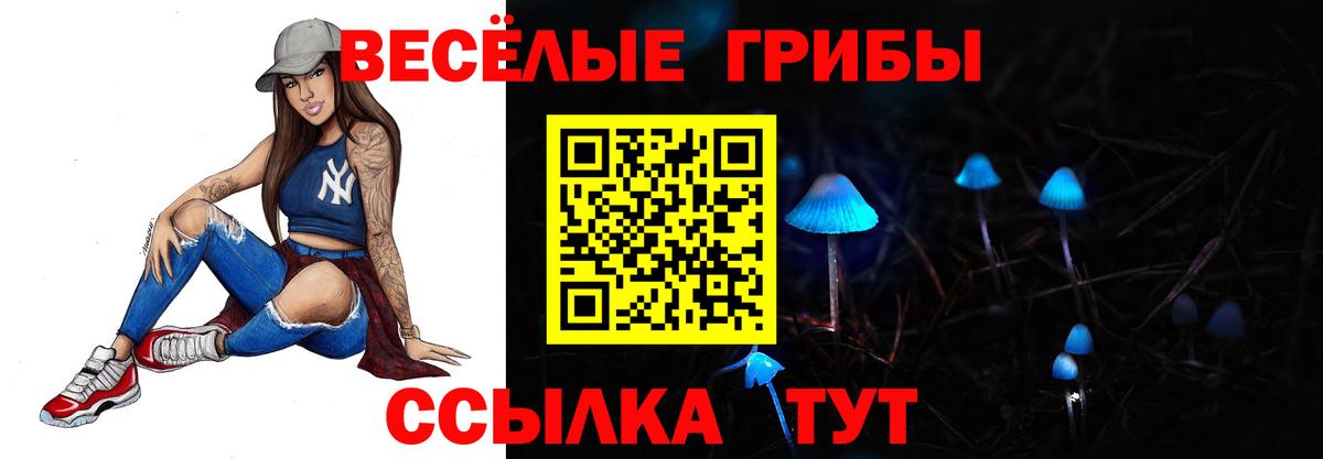 Тихорецк  Галлюциногенные грибы ЛСД  Вход с VPN 